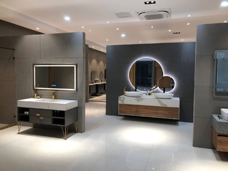 China Foshan Tianyi Sanitary Ware Technology Co., Ltd. Perfil de compañía