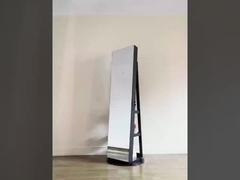 Lockable Full Length Mirror Cabinet Adjustable Lights LED Mirror Jewelry Cabinet Brown